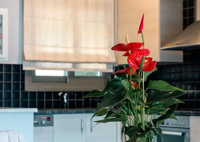 Malena * Karavomylos